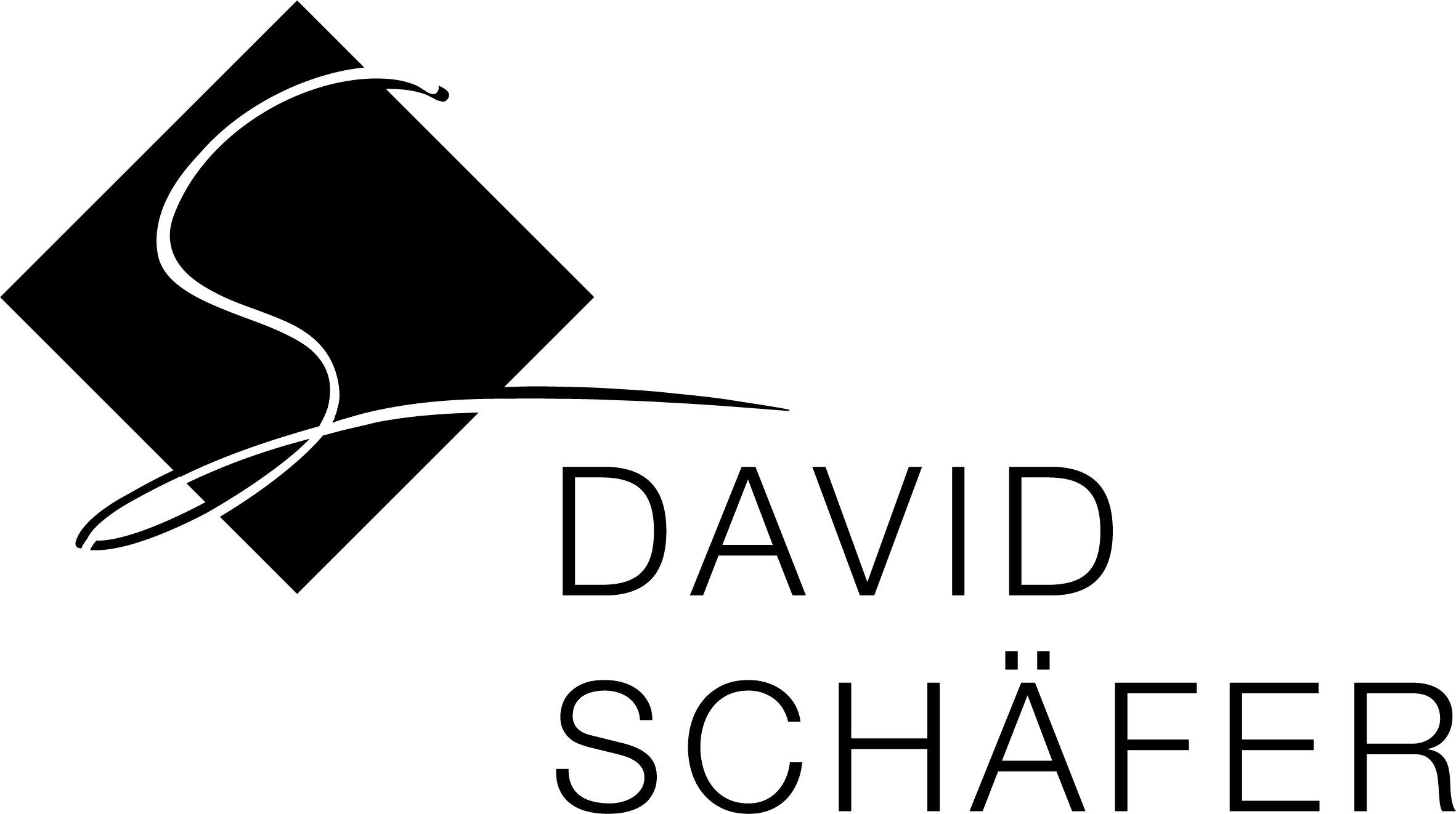 David Schäfer